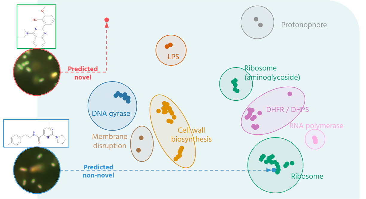 Two-dimensional projection of antibacterial compounds colored by mechanism class — visualizing the mapped phenotypic space across known antibacterial mechanisms.
