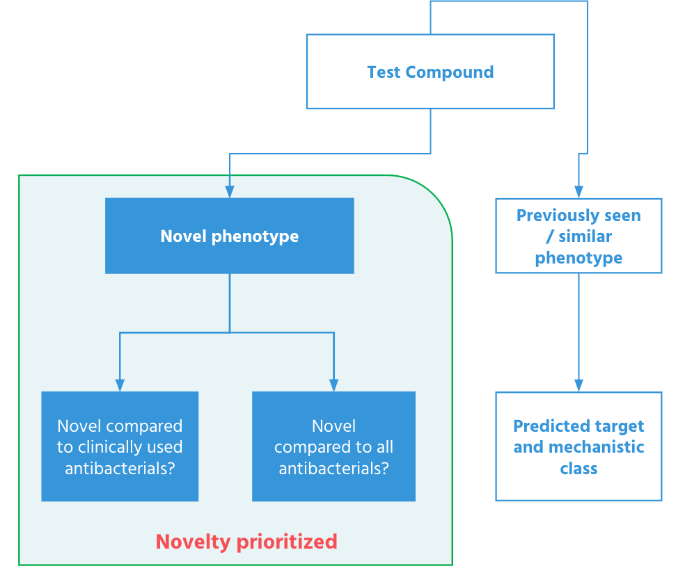 Phenotypic projection highlighting compounds prioritized for mechanistic novelty — separating mechanistically novel hits from compounds resembling known antibiotic classes.